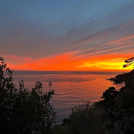 ⭑ Sea Views + Private Beach. What Else? ⭑ Tossa de Mar Eksteriør bilde