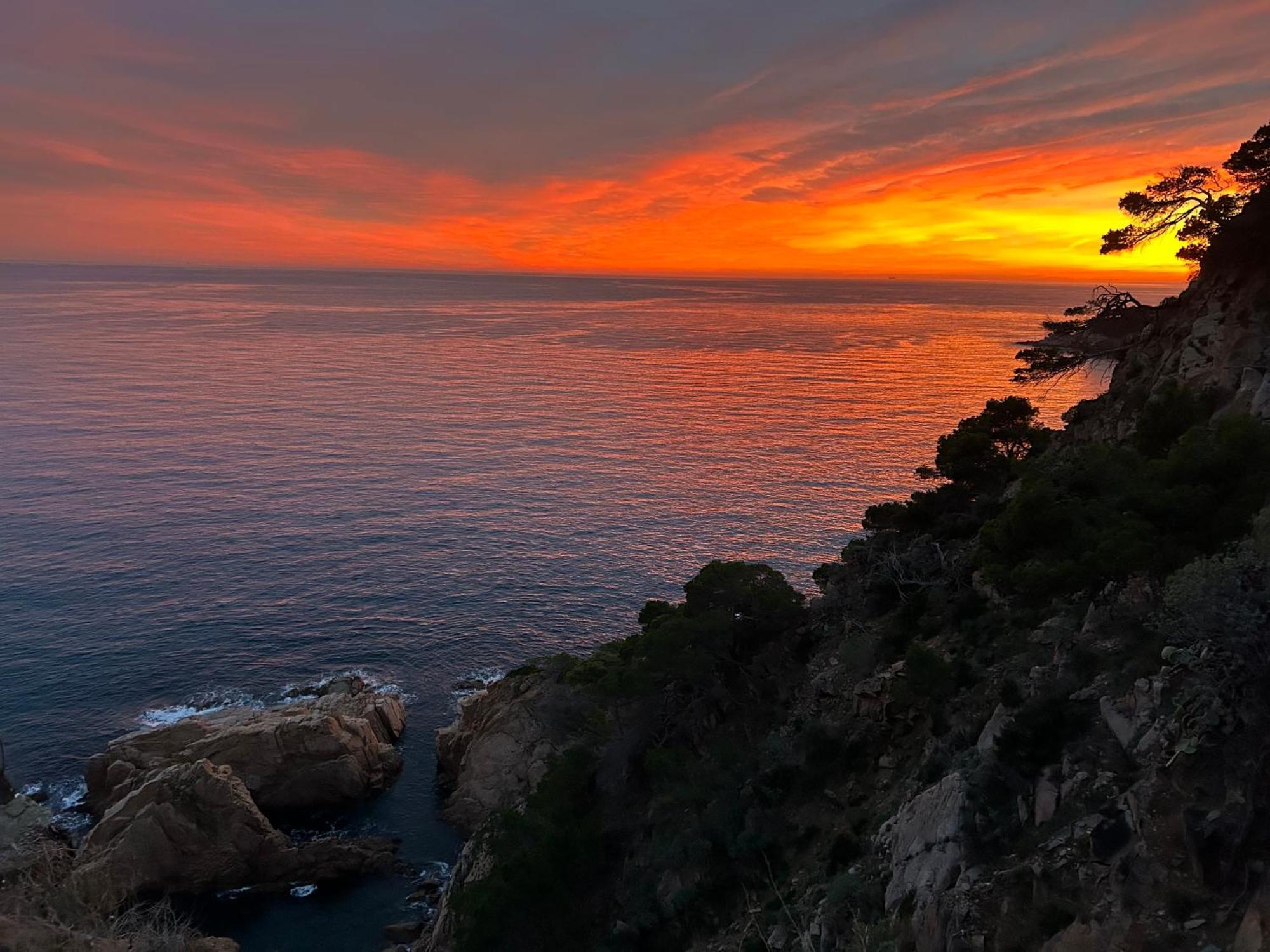 ⭑ Sea Views + Private Beach. What Else? ⭑ Tossa de Mar Eksteriør bilde