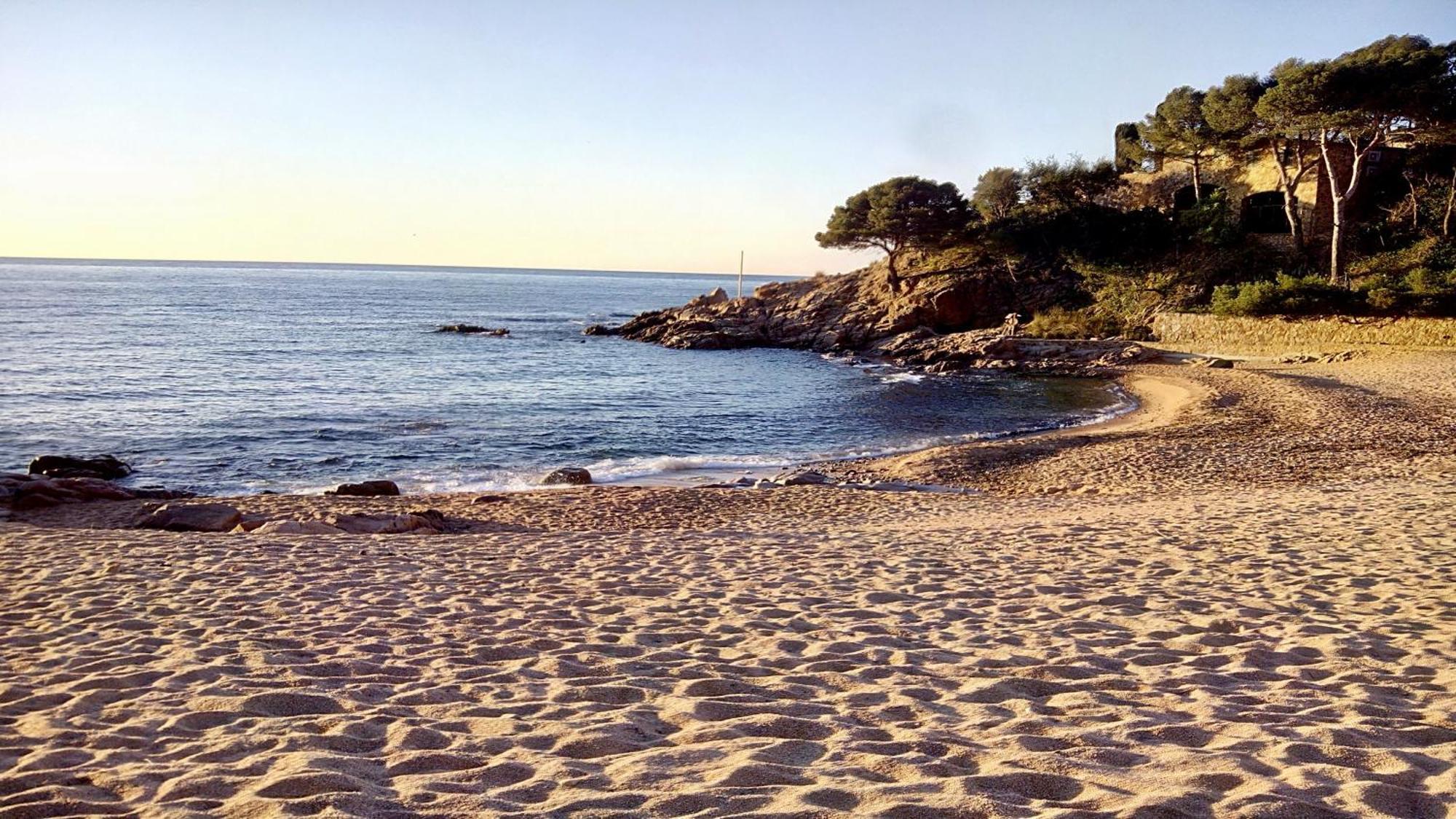 ⭑ Sea Views + Private Beach. What Else? ⭑ Tossa de Mar Eksteriør bilde